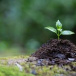 El Congreso aprueba la primera Ley del Cambio Climático en España diseñada para para mitigar sus efectos