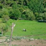 La UE aprueba el reglamento del programa ambiental LIFE, que puede recibir apoyo de la PAC y está dotado con 5.432 millones