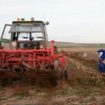 CLM defiende una PAC «que iguale a todos pero priorice a los profesionales» haya o no haya unanimidad entre las CCAA