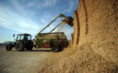 Los precios de materias primas y piensos siguieron presionando al alza los costes del sector ganadero en marzo