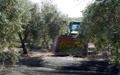 Sube el paro registrado y desciende la afiliación a la Seguridad Social en Agricultura en marzo pasado