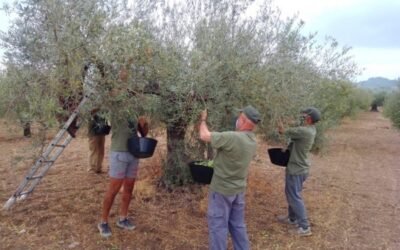 La actividad Agricultura fue la única que creó empleo neto en el primer trimestre de 2021