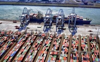 La UE-27 registró un superávit de 62.000 M€ en su comercio exterior agroalimentario en el año del Covid-19