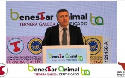 La IGP Ternerna Gallega crece en en un mercado donde ya se comercializa con certificado de bienestar animal