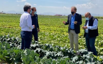 Antonio Luengo visita la finca experimental El Aljibe de Bejo