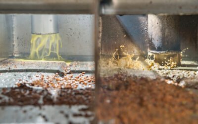 Medidas alternativas de gestión del alperujo