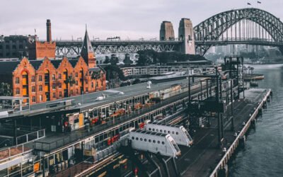 Continuo crecimiento de las importaciones australianas de aceite de oliva