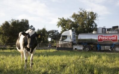 Los precios medios de la leche cruda de vaca en España cerca de la cola de la UE-27 en febrero