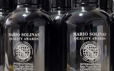 España vuelve a ser la protagonista en los Premios Mario Solinas 2021