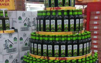 Acesur abre una nueva filial comercial en Brasil