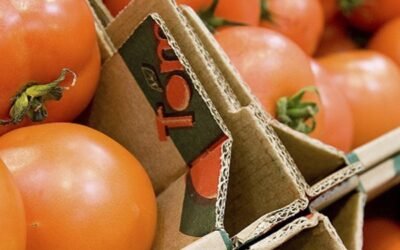 La industria española del cartón mantiene sus niveles de producción