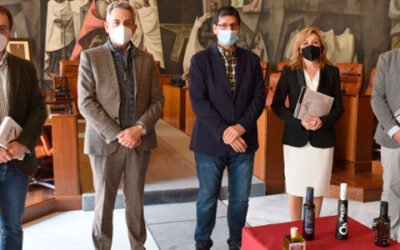 La Diputación de Ciudad Real se adhiere a AEMO