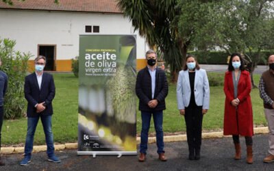 La Diputación de Córdoba selecciona los mejores AOVEs en el XIV Concurso Provincial