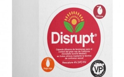 Disrupt, el nuevo difusor de feromonas de Tradecorp para el control del piojo rojo en cítricos