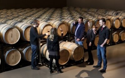 Cajamar publica un libro sobre modelos de éxito para impulsar el enoturismo