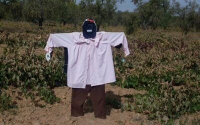 El envejecimiento de los agricultores europeos es uno de los mayores desafíos a los que se enfrentan las zonas rurales