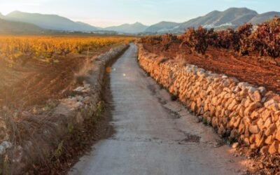 La DOP Alicante reclamará protección para su viñedo ante la proliferación de campos solares