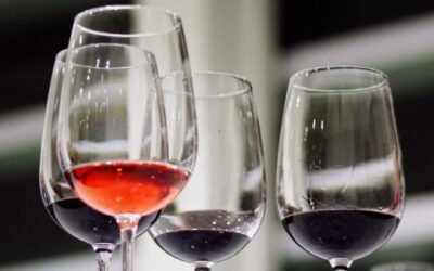 La DOP Ribera del Duero patenta una aplicación para facilitar el autocontrol y la certificación de vinos