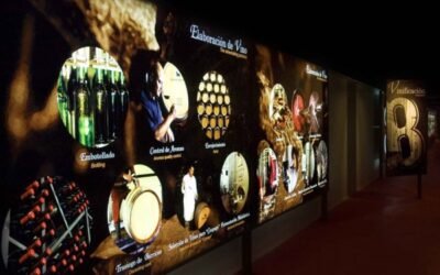 Las DD.OO. vitivinícolas trasladan a la CE que no quieren un reglamento único para las figuras de calidad