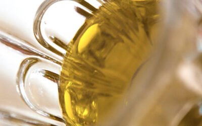 Investigadores del CSIC patentan un nuevo método para producir un potente antioxidante del AOV