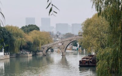 “Open Day Spanish Food & Wine Showroom”: el AOVE español se promociona en China