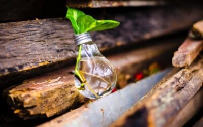 La respuesta de la CE ante las nuevas técnicas genómicas en el sector agrario. Por Pedro Gallardo.