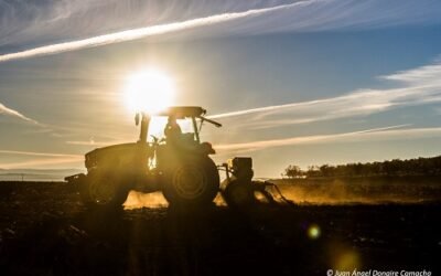 Aprobado el RD 244/2021 de ayudas de 3 M€ para financiar avales de compra de maquinaria agrícola nueva