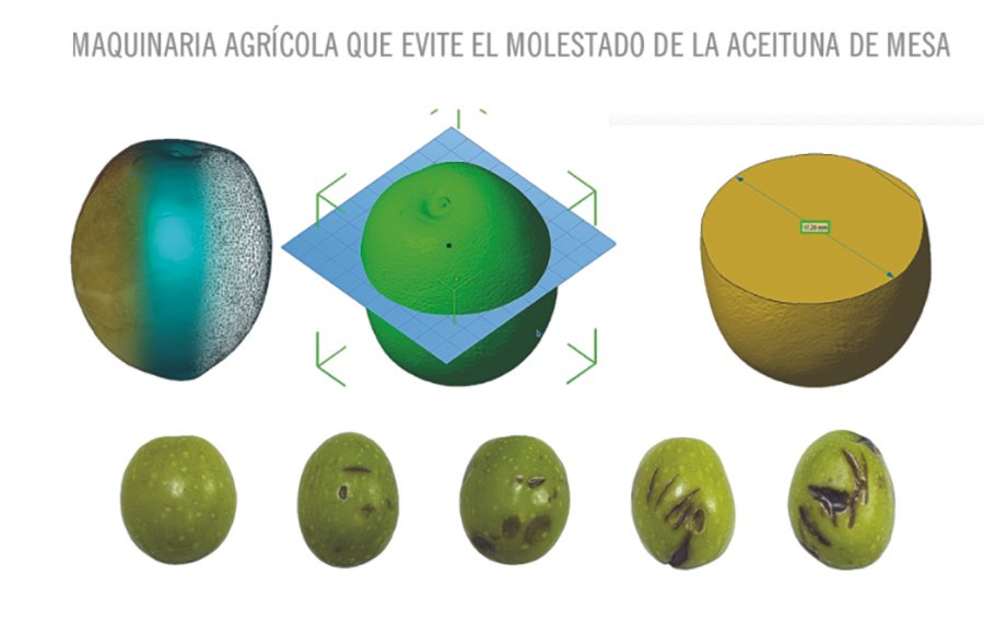 La realidad virtual reduce el daño mecánico de la aceituna de mesa durante su recolección