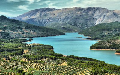 Los Paisajes del Olivar en Andalucía será la candidatura española a Patrimonio Mundial en 2023