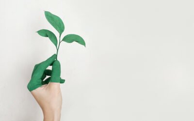Los consumidores españoles, cada vez más interesados por conocer las prácticas de sostenibilidad de las marcas