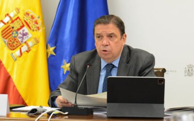 Planas destaca la recuperación de los precios del aceite de oliva en un 40%