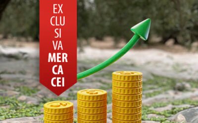 ¿Qué sucederá con los precios del aceite de oliva en los próximos meses?