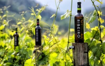 Anulan judicialmente un acuerdo del Consejo Regulador de la DOP Ribeiro por su contenido «inmoral y antisocial»