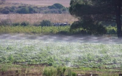 ASAJA avisa del “golpe” al regadío con la entrada en vigor de las nuevas tarifas eléctricas a partir del próximo 1-J