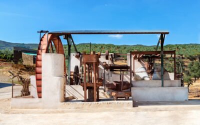 El valor turístico de la olivicultura y la producción de aceite de oliva en Extremadura