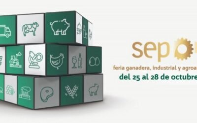 Sepor se transforma en virtual por segundo año