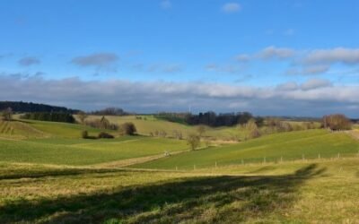 El MAPA prorrogará el plazo para presentar la Solicitud Única de ayudas PAC 2021 hasta el 15 de mayo