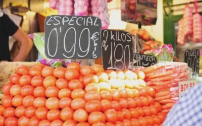La CE ignora que exista fraude en el marcado de origen de tomate marroquí con destino al mercado comunitario