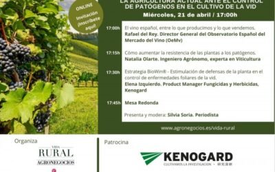 Vida Rural organiza un webinar sobre el control de patógenos en el cultivo de la vid
