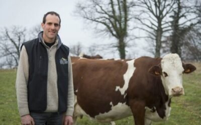 Las OPAS ven lamentables la opinión y las propuestas de Sánchez sobre la ganadería y el consumo de carne en la España 2050