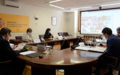 MAPA y CC.AA. acuerdan distribuir más de 3.210 M€ de ayudas a programas agrarios y de Desarrollo Rural