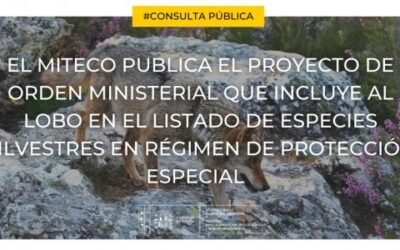 El Miterd prevé que el lobo no pueda ya cazarse desde el 25 de septiembre de este año