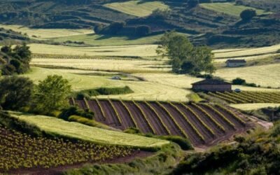 El CESE afirma que la PAC no es suficiente para el desarrollo territorial de las zonas rurales