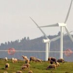 Los agricultores y ganaderos recelan del auge de las energías renovables por el uso de la tierra y porque marginar al propio sector