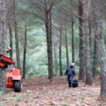 Denuncian que se lleva tres años sin un solo euro en ayudas agroforestales pese a haber destinado 7 millones en una convocatoria