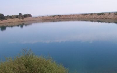 La superficie de cultivo con regadío se mantuvo en 3,83 Mha durante el pasado 2020