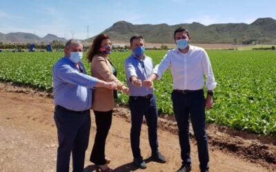 Proexport y Coexphal se unen para defender los trasvases y los valores de la horticultura del sureste