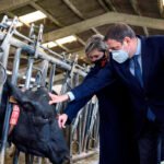 Los pagos de la nueva PAC: Cantabria asume que parte del sector cobrará menos y acepta compensarlos con ayudas a partir de 2022