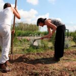 La España 2050 de Sánchez sigue provocando enfado en el campo: La ven como una ensoñación alejada de la realidad del sector agrario