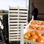 El nuevo peaje en las carreteras impactaría negativamente sobre la competitividad de la exportación de frutas y hortalizas